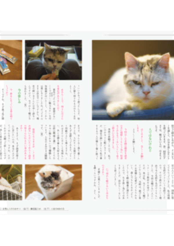 冊子「よもやま」５月号 - 画像 (2)